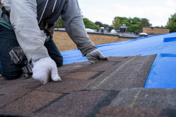 Best Commercial Roof Installation  in Fairmont City, IL